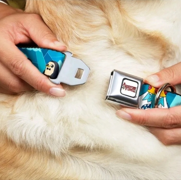 BUCKLE-DOWN Dog Seatbelt Collar ADVENTURE TIME Ice King & Penguins 16-23 inches - Picture 2 of 4